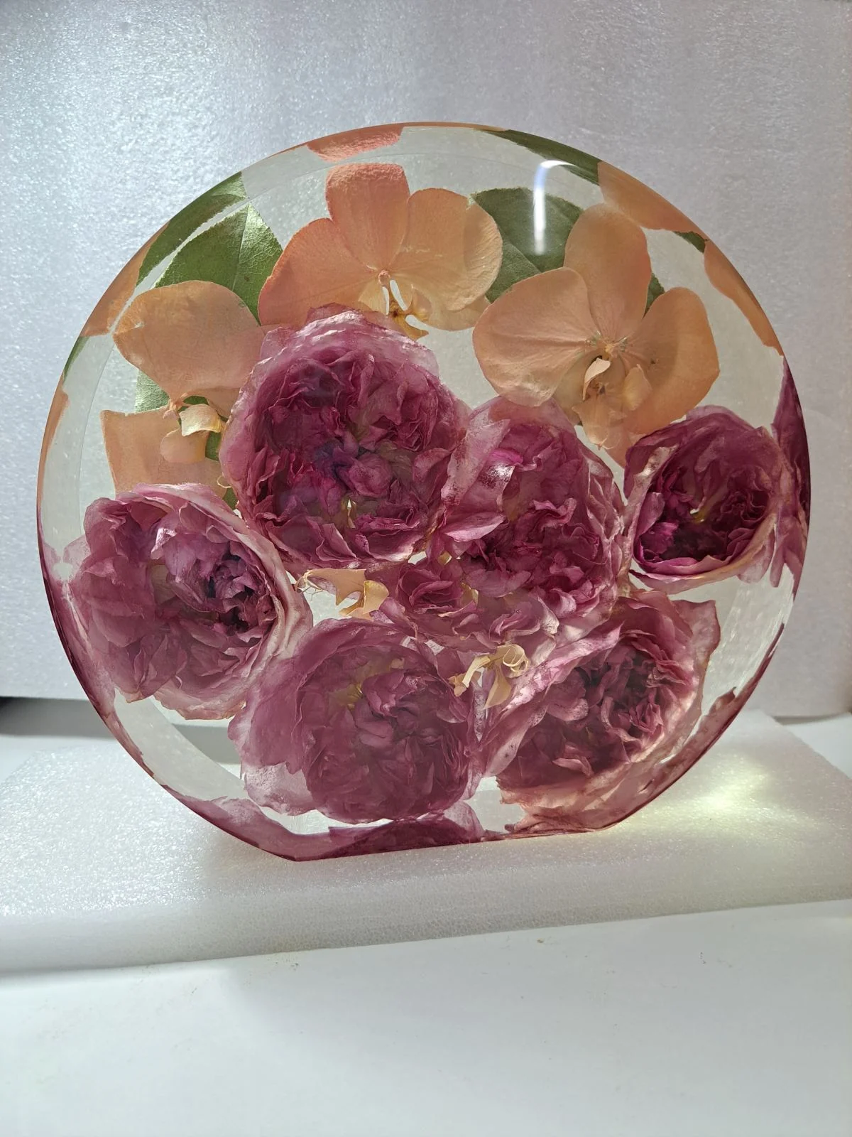Garden roses and orchids preserved in a round resin casting